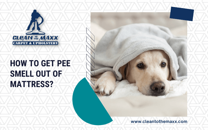 How-To-Get-Pee-Smell-Out-Of-Mattress_